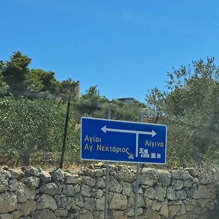 Ξενώνας Vasiliki Vathi  Экстерьер фото